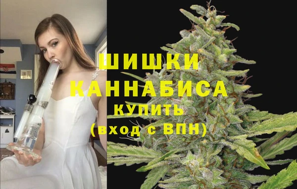стафф Беломорск